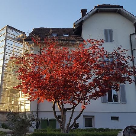 Casa Carmela Hotel Solothurn Exterior foto